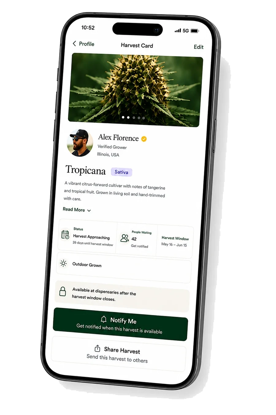 The Harvest Card for Alex Florence's Tropicana, showing status, harvest window, and Notify Me / Share Harvest actions
